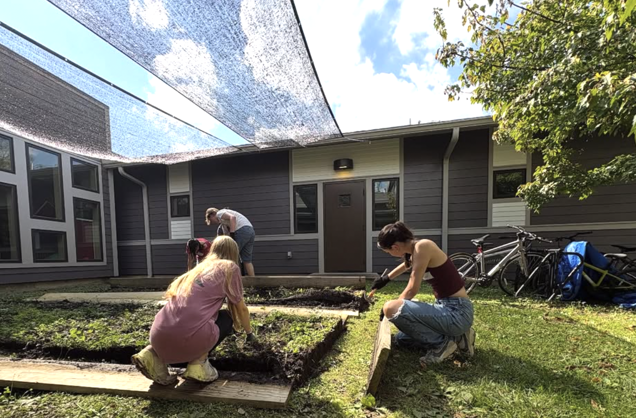 Amplify Aid volunteers at work